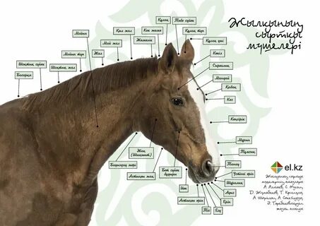 Жетілген MFF порно онлайн