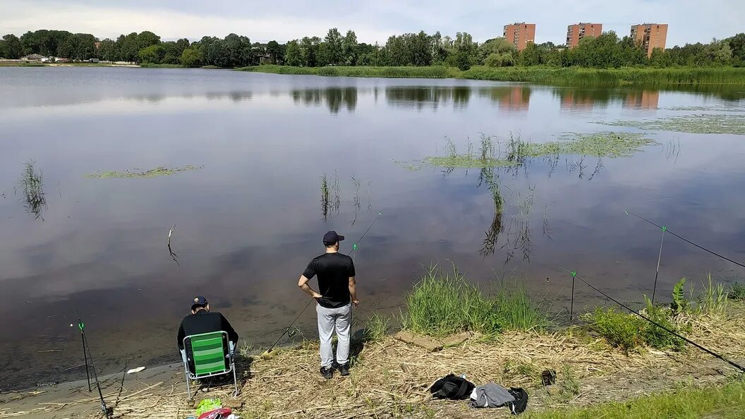 Можно ли ловить в прудах в запрет