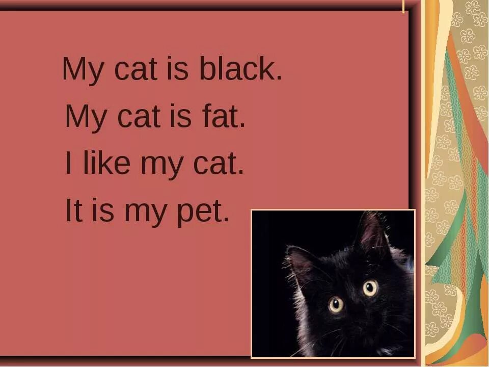 Разказ про кошу на англискомязыке. Любимая кошка перевод на английский. Любимая кошка перевод на английский. Части кошки на английском. Любимая кошка перевод на английский.