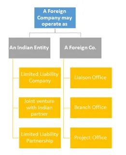 Set up a company