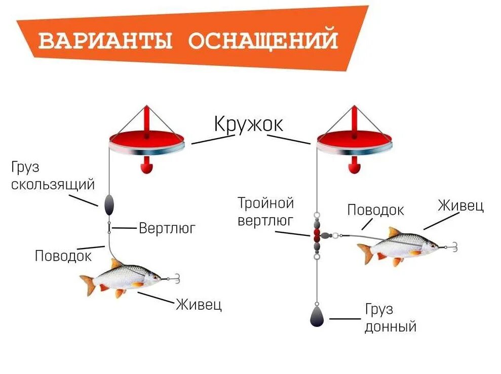 Снасть кружок на щуку монтаж. Монтаж кружков на щуку с грузом. Как оснастить кружки на щуку. Оснастка кружков на щуку с грузом. Сколько можно ставить жерлиц в 2024 году