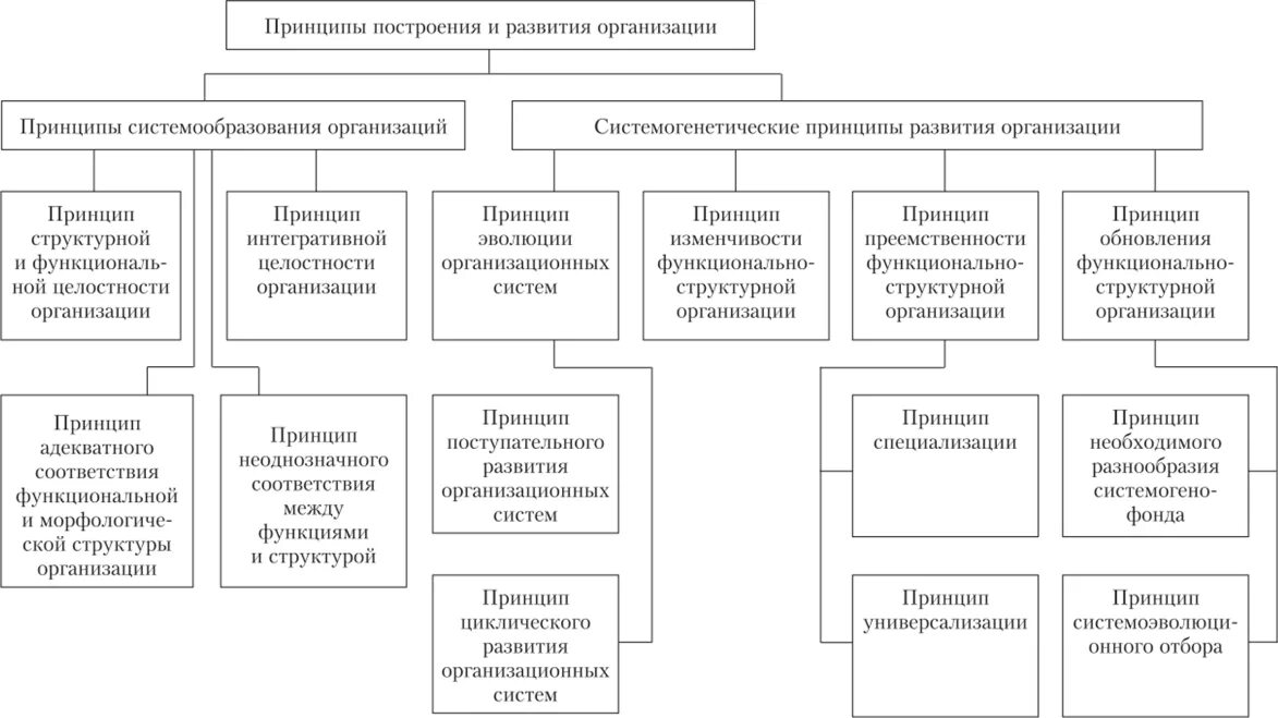 Принципы развития производства. Принципы организационного развития предприятия. Принципы организационной структуры управления. Принципы формирования организации. Принципы структурной организации.