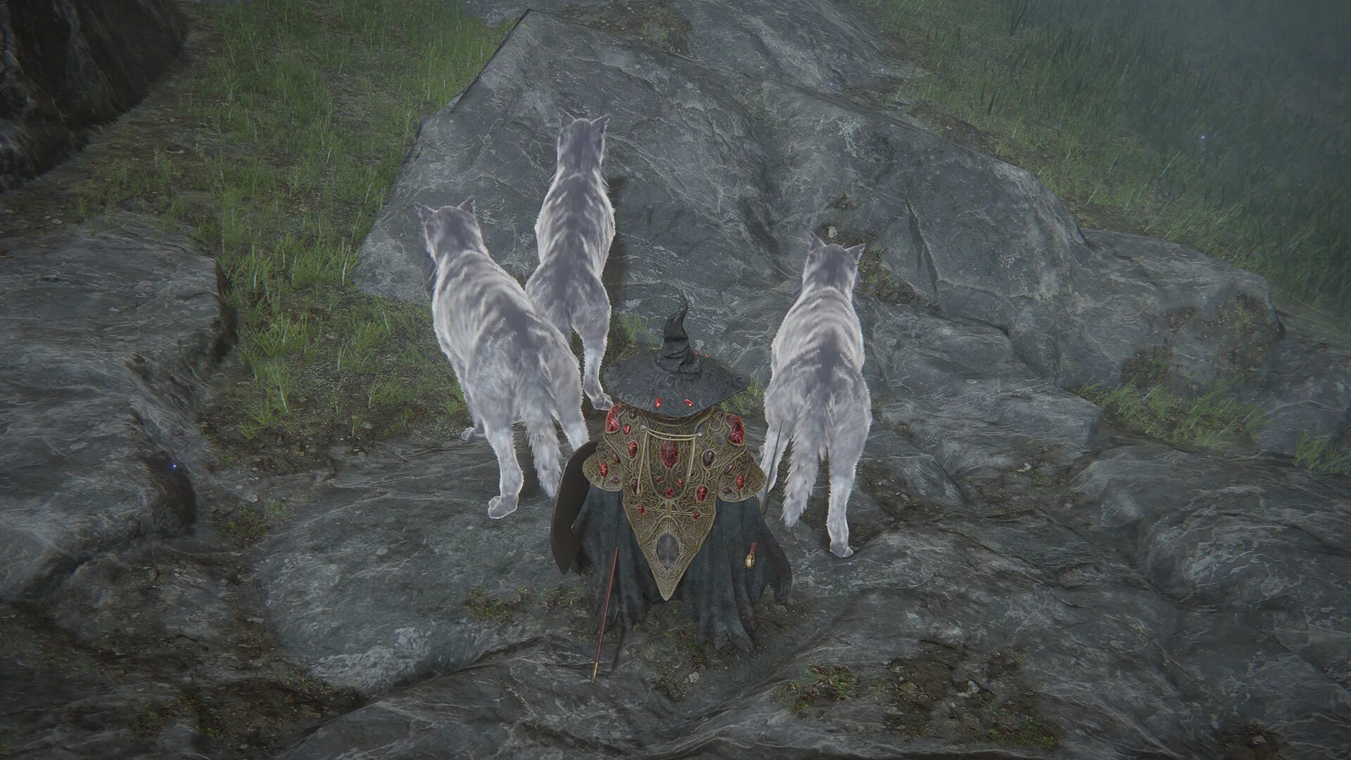 Найдите 3 мудрых зверей. Элден ринг волк. Elden Ring волк. Elden Ring пещера с волками. Элден ринг волки белый волк.