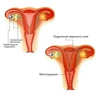 Выделение после месячных что делать