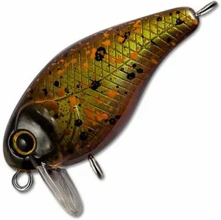 Tsuyoki chef 38f