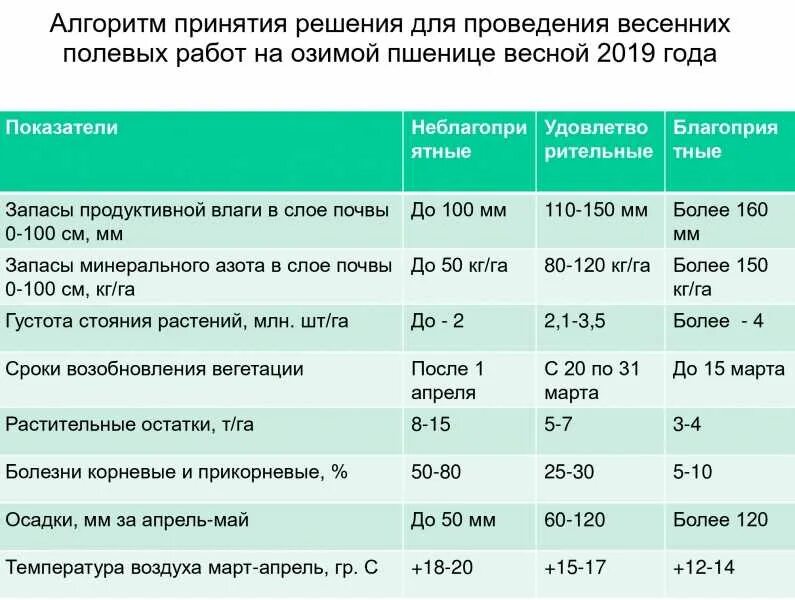 Срок посева озимых. Нормы показателей озимой пшеницы. таблица посева зерновых культур. внесение удобрений под озимую пшеницу. азотные удобрения для озимой пшеницы.