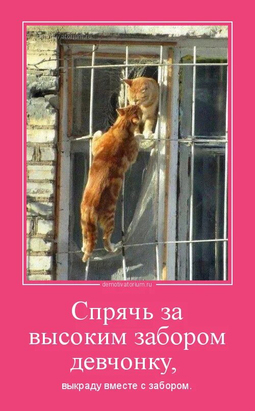 Спрячь за забором девчонку. Спрячь за забором девчонку
