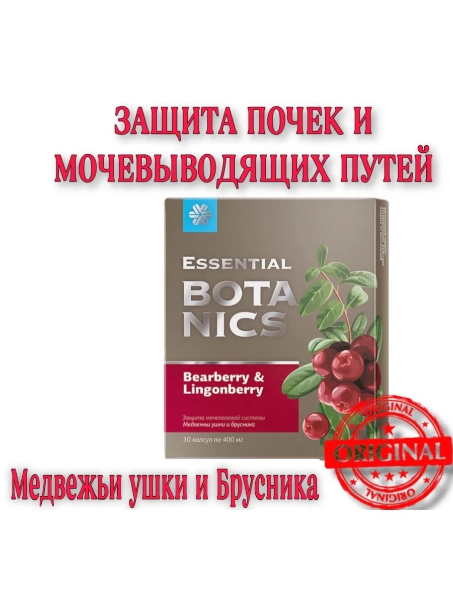 Медвежьи ушки и брусника essential botanics инструкция. Медвежьи ушки и брусника Сибирское здоровье. Медвежьи ушки Сибирское здоровье. Медвежьи ушки Сибирское и брусника Сибирское здоровье. Essential Botanics Медвежьи ушки и брусника капсулы.