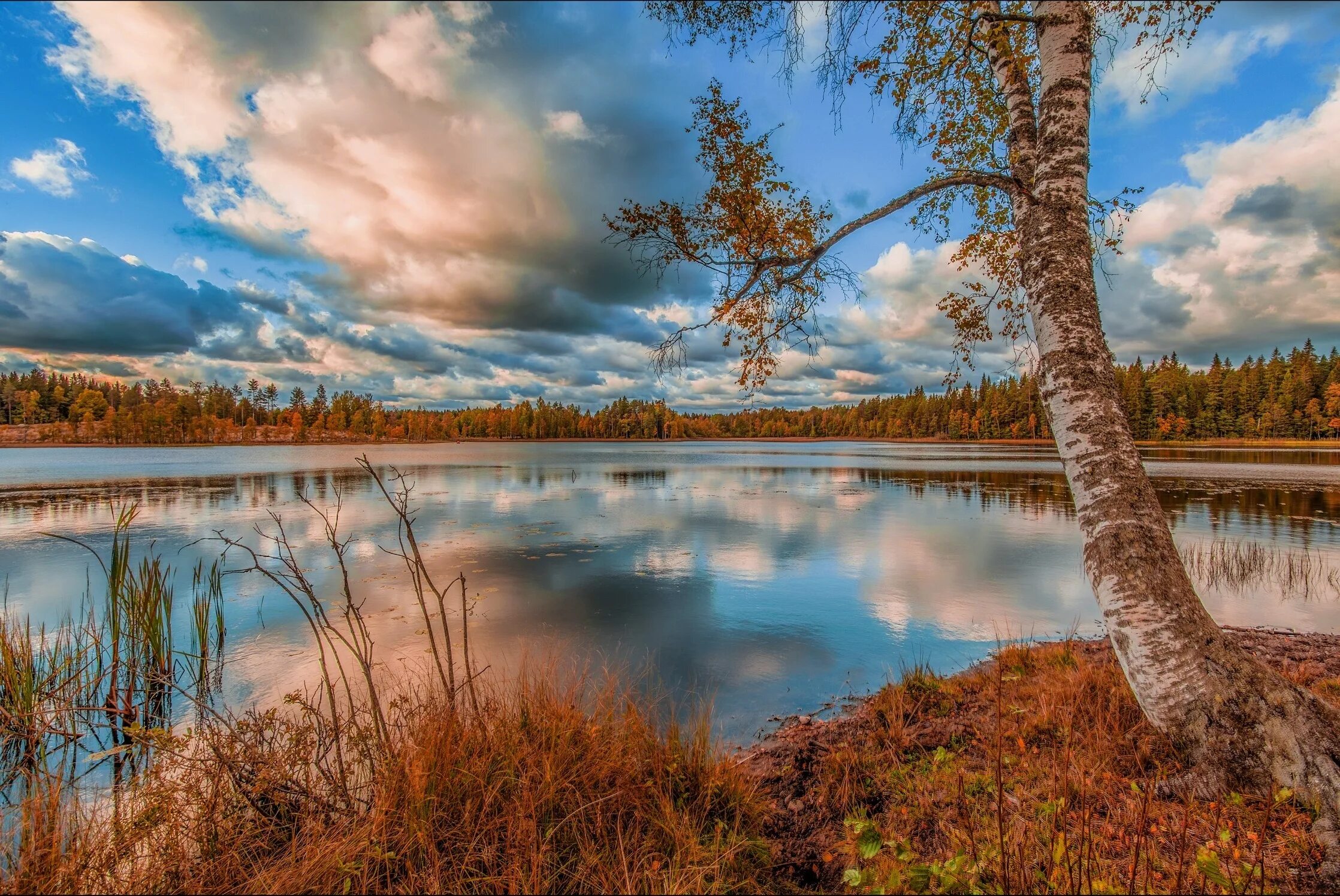 Красивая природа река. Река волга пляж. Речной пейзаж. Берегите реки. Летний пейзаж.