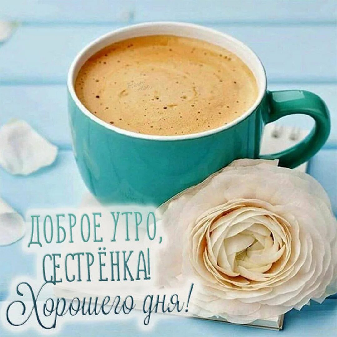 Стильные открытки с добрым утром. Красивая чашка кофе. С добрым утром кофе. Чашечка кофе с добрым утром.
