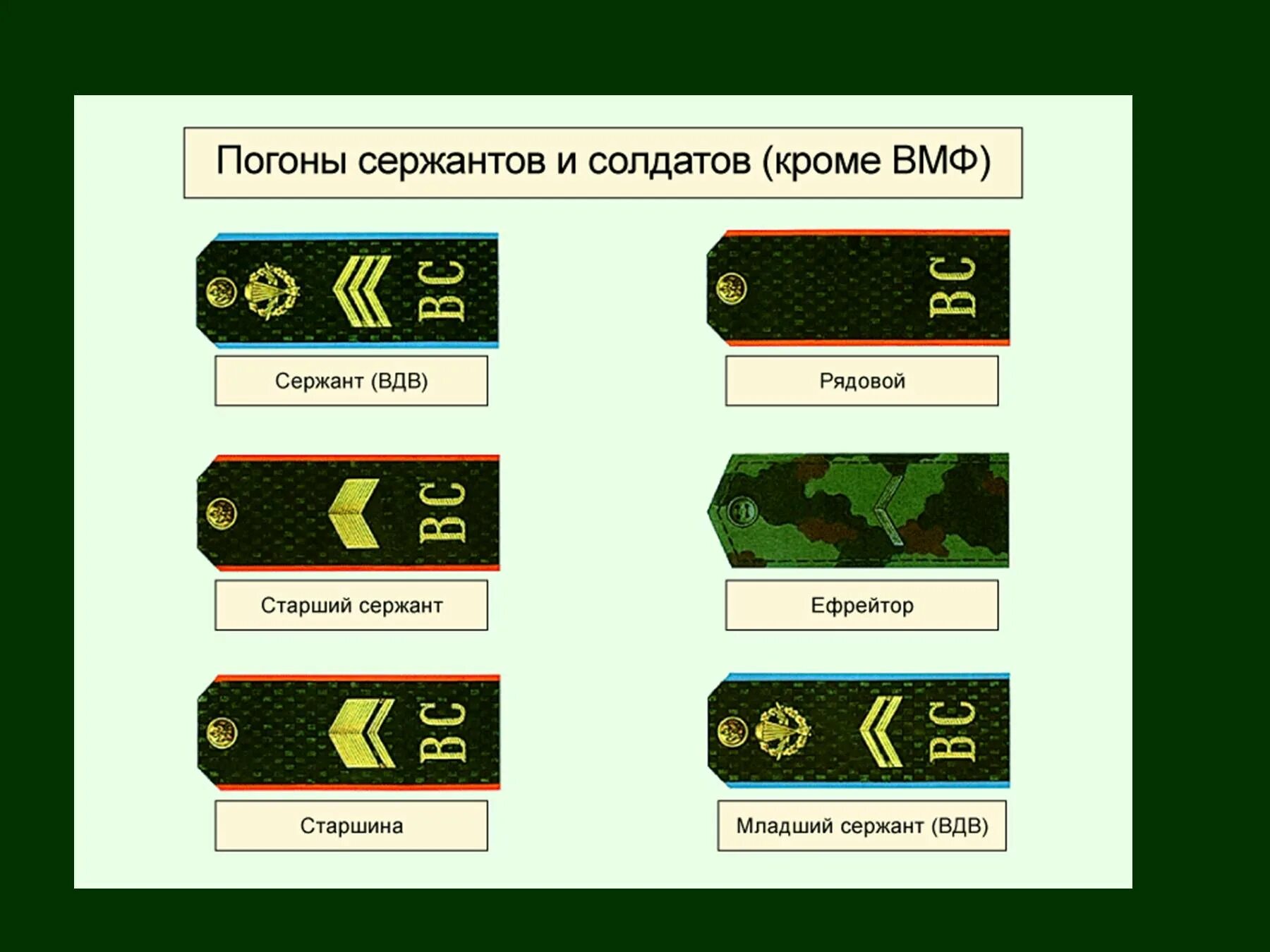 Сержант какие погоны