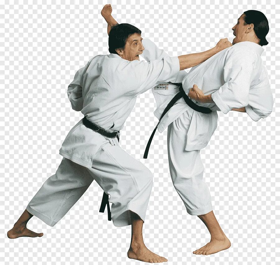 Карате белом. Каратэ Шотокан кумитэ. Kata карате. Karate Kyokushinkai спарринг. Кимоно для карате сётокан.