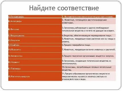 Поиск соответствия