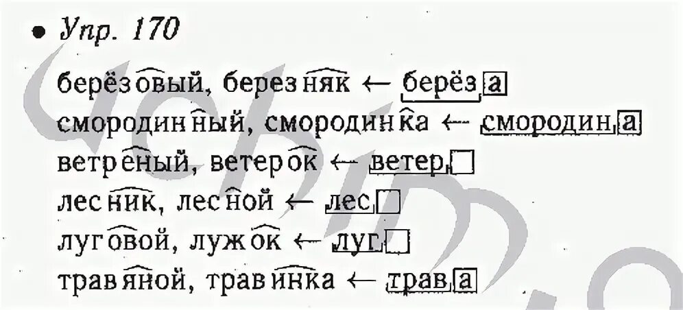 Русский язык 6 класс стр 170. Русский язык 5 класс ладыженская 1 часть упр 170.