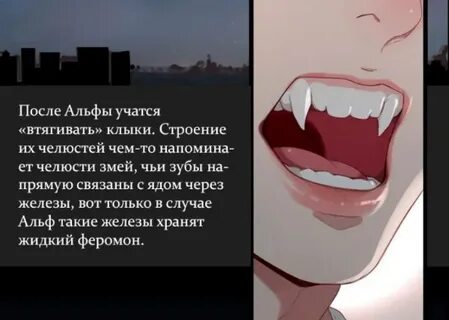 Метка альфы