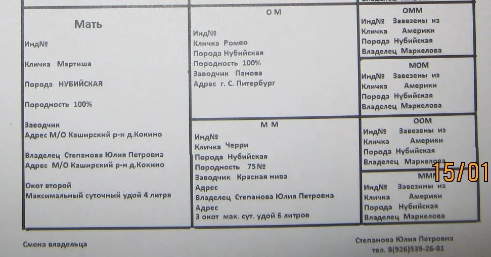 Расписание маршруток кокино. Как посчитать процент у коз. Таблица процентности нубийских коз.