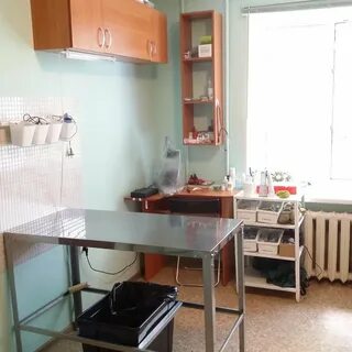 Ветклиника на коммунистическом ростов