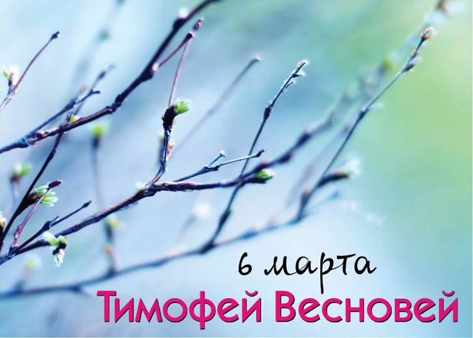 С праздником весны. Открытки с теплым Алексеем.