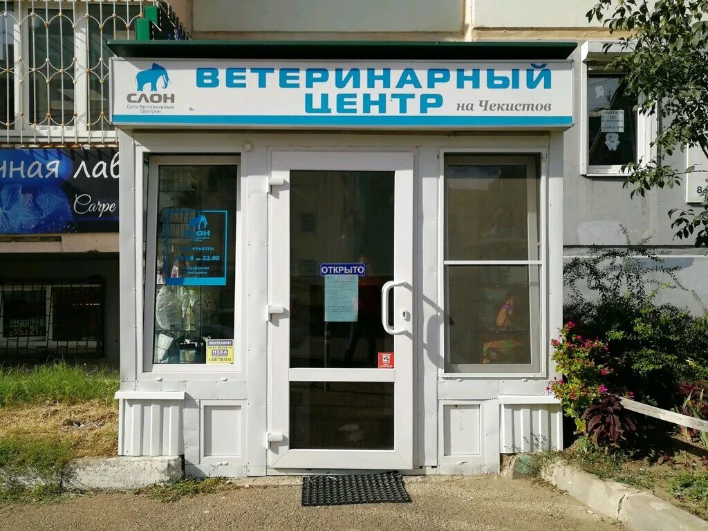 Чекистов 24/1 краснодар. Ветклиника слон краснодар. Слон ветклиника в краснодаре чекистов. Клиника слон краснодар достоевского. Ветеринарная клиника краснодар монтажников 5.