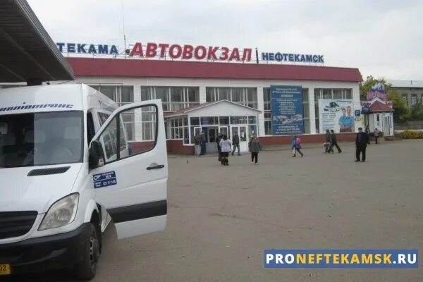 Чайковский нефтекамск автобус. Нефтекамский автовокзал. Башавтотранс Нефтекамск. Автовокзал Амзя Нефтекамск. Нефтекамск автобус Башавтотранс.