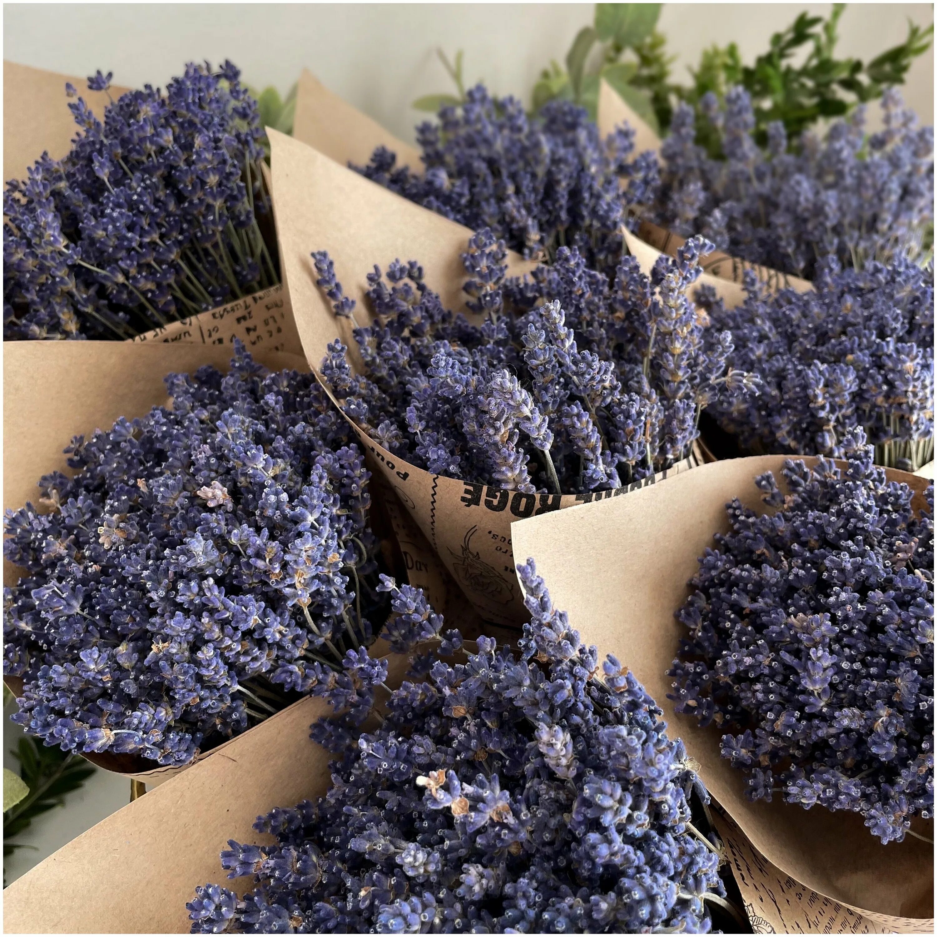 лаванда цветки сушёные. цветы лаванды сушеные. лаванда засушенная. сухоцветы лаванда цветки. лаванда цветы сухие.