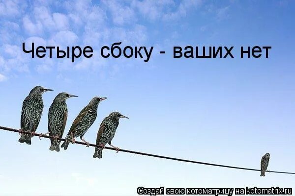 Астроюмор. Баба яга колдует. Сбоку ваших нет. Колдуй баба колдуй дед трое сбоку ваших нет. Четыре сбоку ваших нет значение.