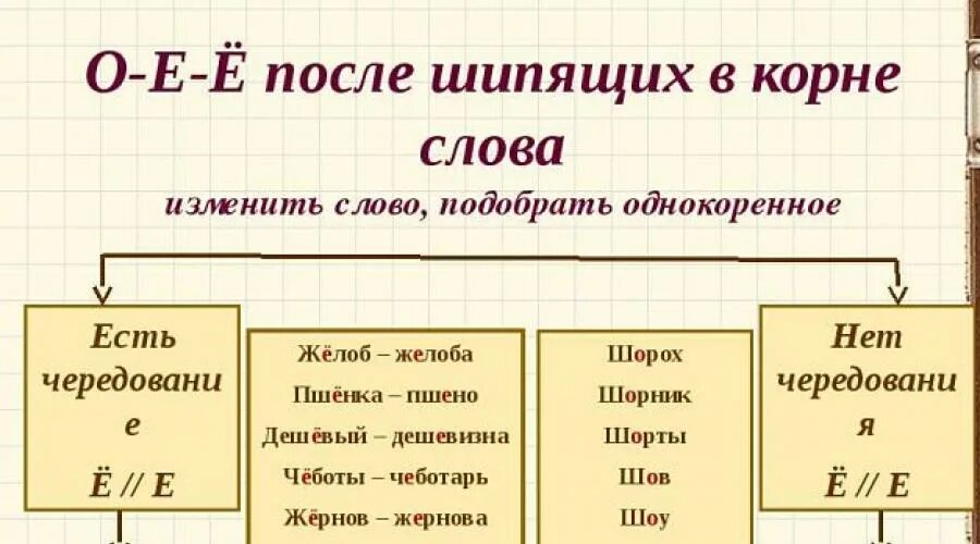 Шипящие в корне слова примеры