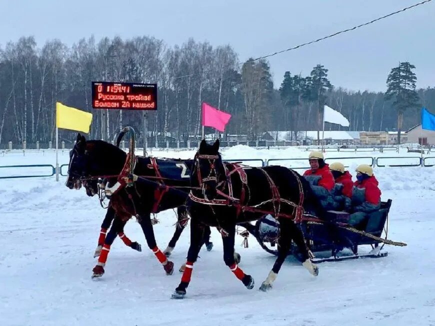 Тройки сильнейших. Костромской ипподром Кострома. Русские тройки соревнования. Лошади кострогого ипподрома. Чемпионат русских троек.