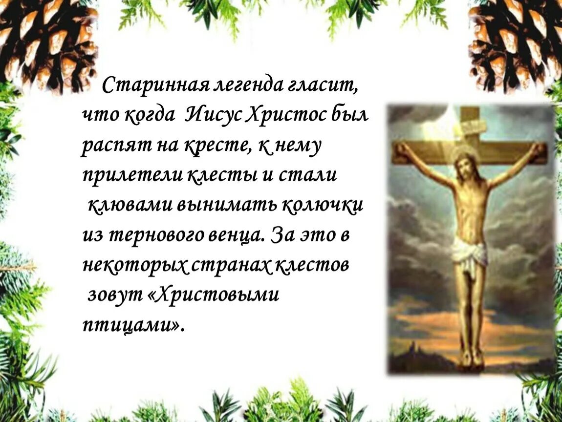 Обучающее изложение клесты 3 класс. Легенда о клесте. клесты изложение 3 класс. изложение клесты 3 класс презентация школа россии. русский язык 3 класс обучающее изложение клесты.