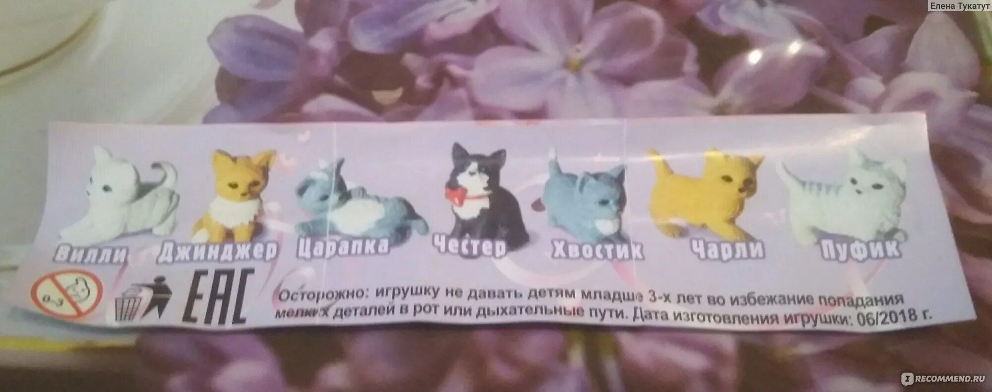 Песенка мяу мяу. Mew Mew шоколадные яйца. Киндер мяу мяу. Котики мяу мяу Киндер сюрприз. Шоколадные яйца Danli мяу мяу.