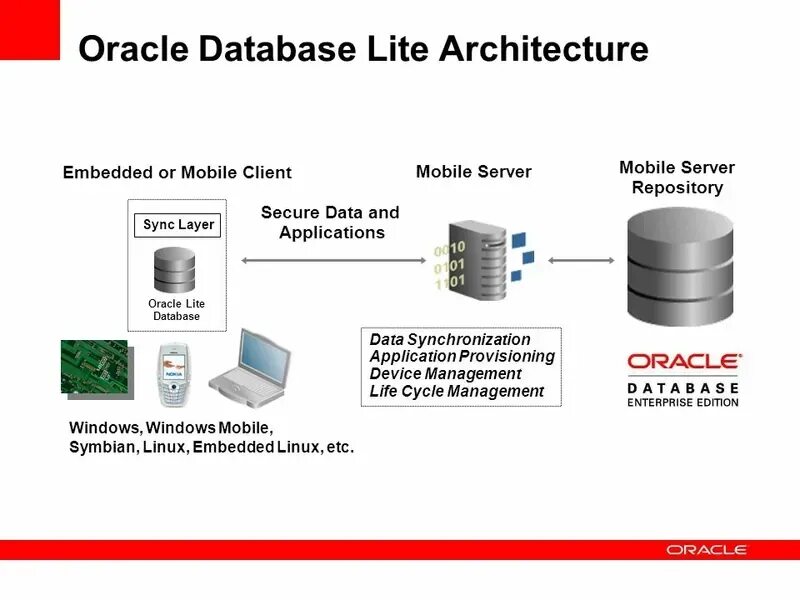 Oracle true. Субд oracle database. oracle база данных. архитектура oracle database. the oracle.
