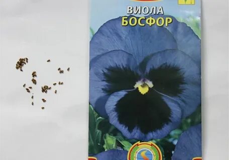 Виола семена