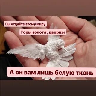 Белая лишь