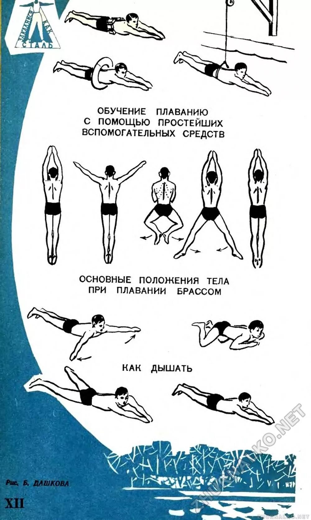 Самостоятельно научиться плавать в бассейне взрослому человеку. Упражнения для плавания кролем. Техника плавания лягушкой. Упражнения для обучения плаванию. Упражнения для изучения техники плавания брассом.