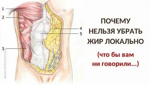 Почему нельзя круглая