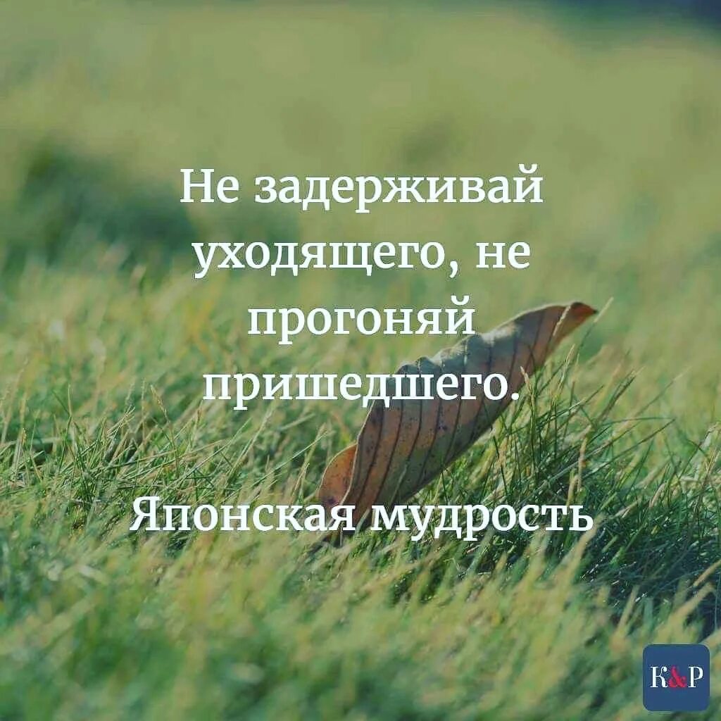 Не держи уходящее. Никогда никого не держу. Я никого не держу цитаты. Не держи уходящее. Никого не держу в своей жизни.
