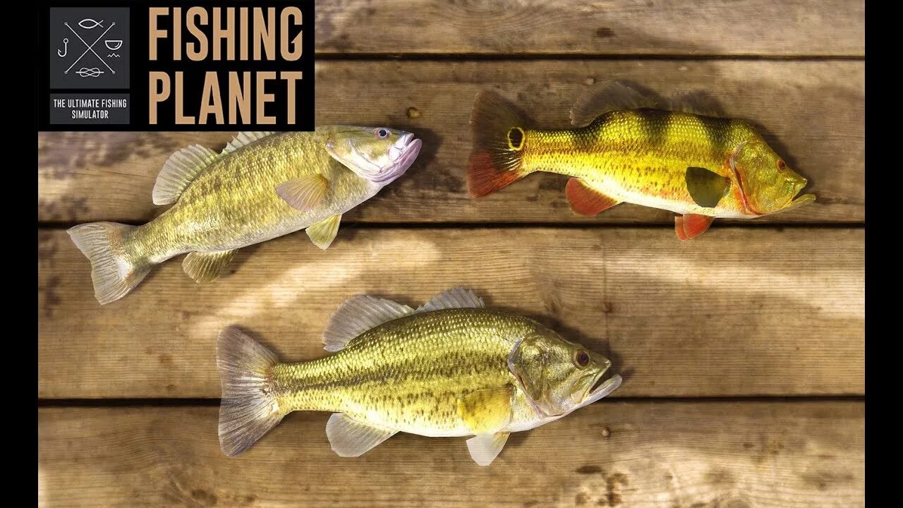 Planet рыбалка. Фишинг планет. fishing planet (2015. fish planet игра. fishing planet рыба.