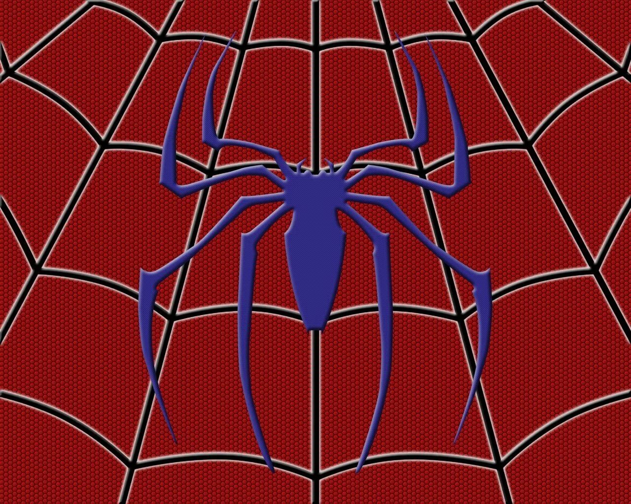 Spider man узор Sam Raimi. Марвел человек паук паутина. Путинка человек паук. Па у ти на че ла ве ка па у ка. Картинку спайдера