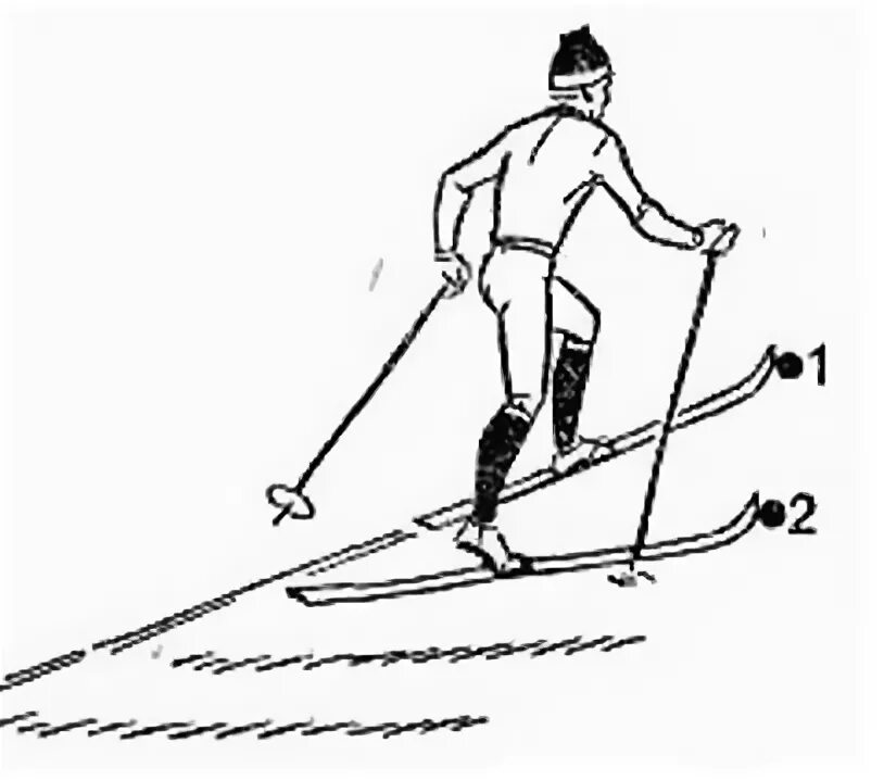 Подъем полуелочкой на лыжах. Подъем полуелочкой на лыжах техника. Полуелочкой шаг на лыжах. Техника подъема на лыжах Полуелочка.