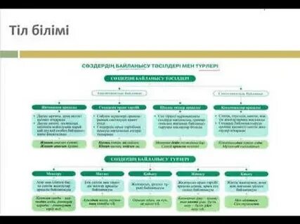 Балықтың бұрмалануы туралы порно