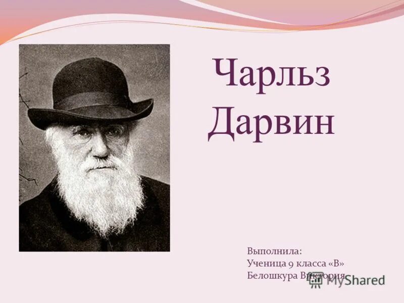 Дарвин презентация 9 класс. Дарвин презентация. Ч Дарвин портрет.