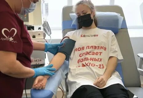 Донорство органов тканей человека