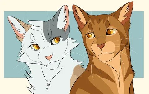 Трикки коты воители