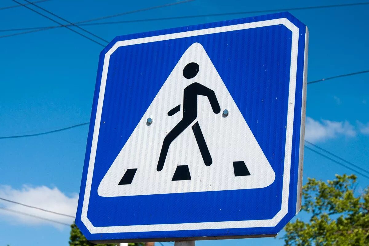 пешеход внимание гибдд. внимание пешеход. знак пешеходный переход. акция пешеход. табличка внимание пешеход.