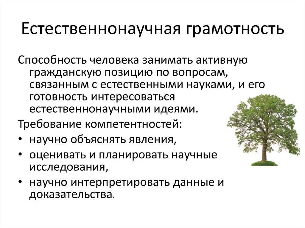 Естественно научная компетенция. Естественнонаучная компетенция в функциональной грамотности. Естественно научные компетенции функциональная грамотность. Компетенции естественнонаучной грамотности Pisa. Естественно научная грамотность.