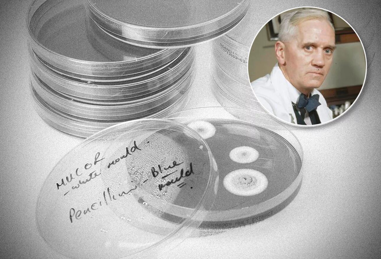 Alexander fleming discovered penicillin. Флеминг пенициллин. Флеминг пенициллин открытие. Антибиотики пенициллин Флеминг.