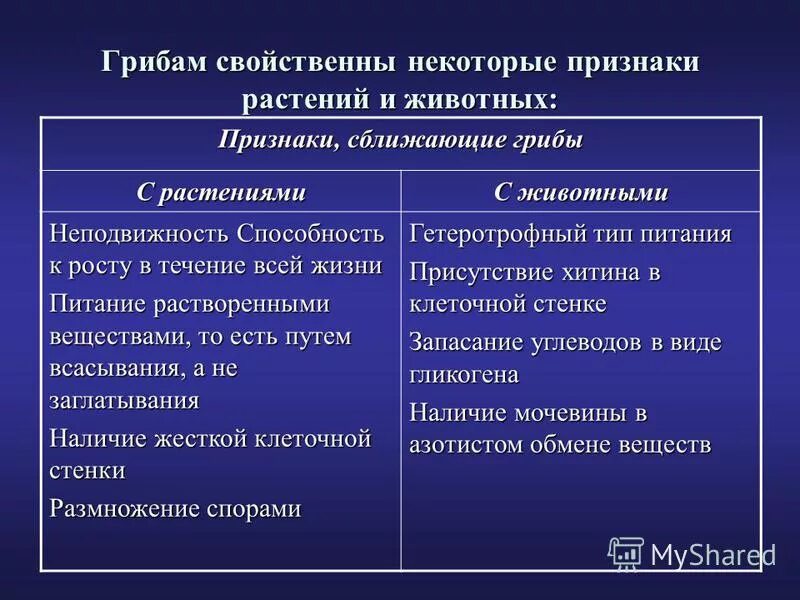 Сходством грибов с растениями является. Таблица признаки грибов. Общие признаки грибов и растений. Общие признаки грибов растений и животных. Признаки растений у грибов.