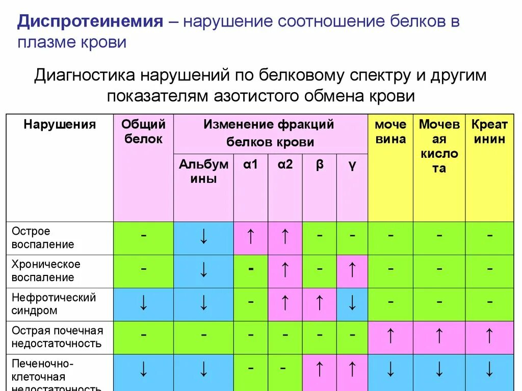 Изменение белка в крови