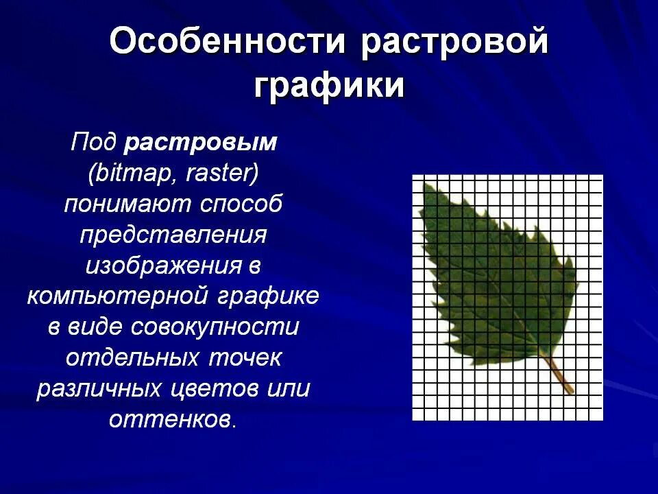 Растровыми графическими являются. Растровая Графика. Особенности растровой графики. Компьютерная Графика Растровая Графика. Виды компьютерной графики Растровая.