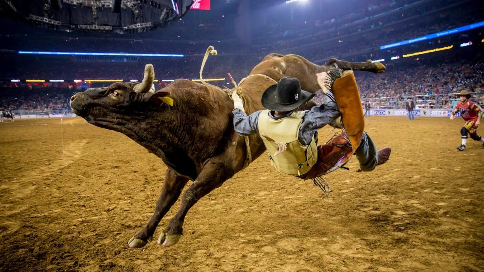 The rodeo is a really exciting event. Родео в Хьюстоне.